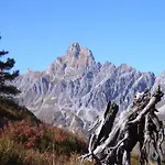 In Near Slopes