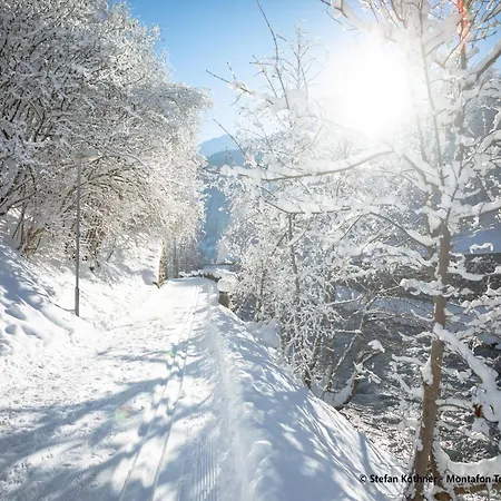 In Tschagguns Near Slopes *